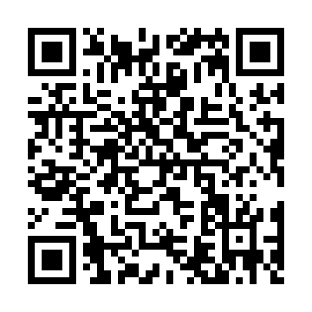 QR code for T691G