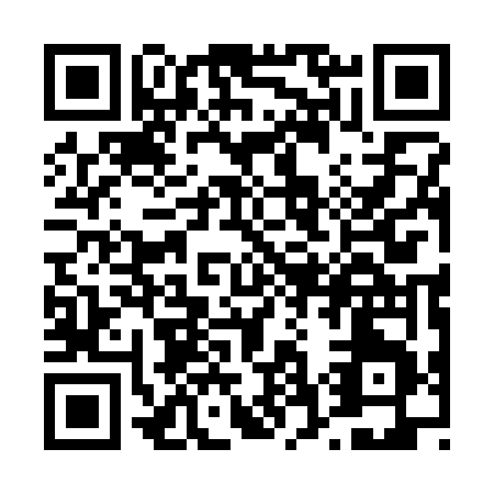 QR code for T713V