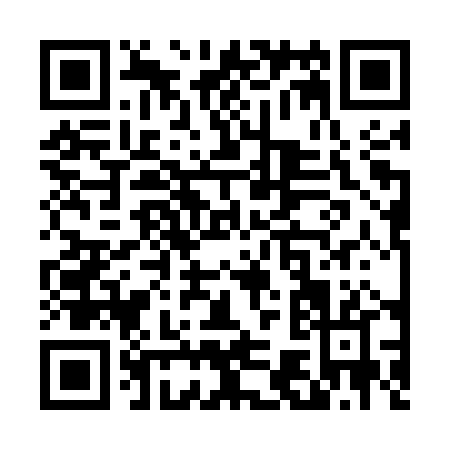 QR code for T735P