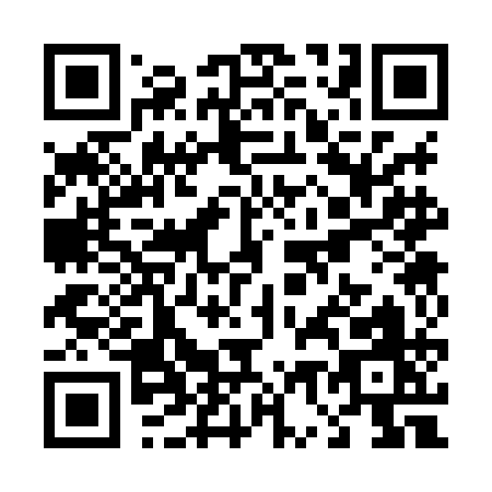 QR code for T738A