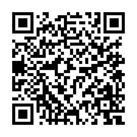 QR code for T738I