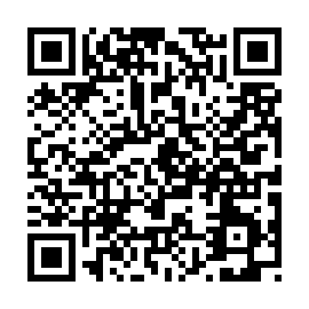 QR code for T804B