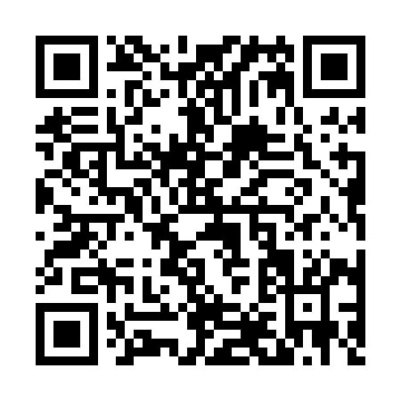 QR code for T810I