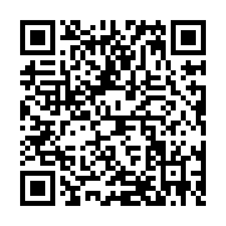 QR code for T819L