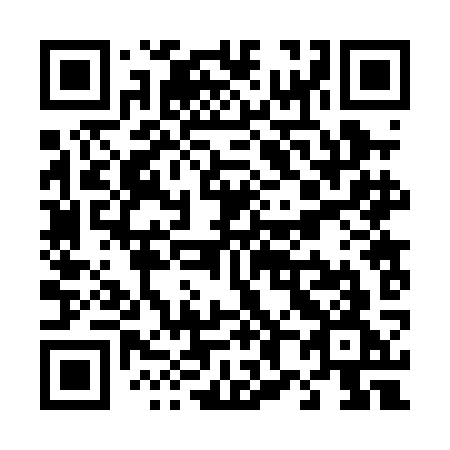 QR code for plate T82 0KG