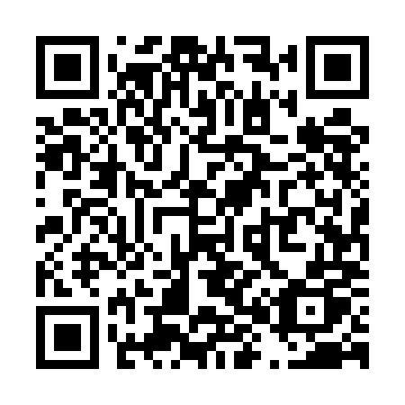 QR code for plate T85 5MP