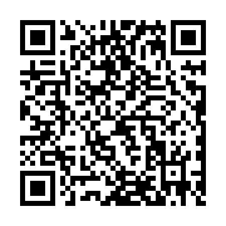 QR code for T868W
