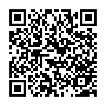QR code for T870H