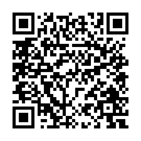 QR code for T905V