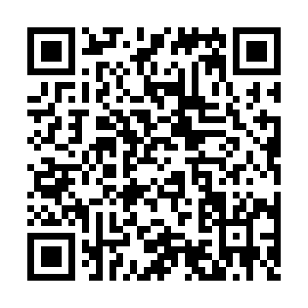 QR code for T913I