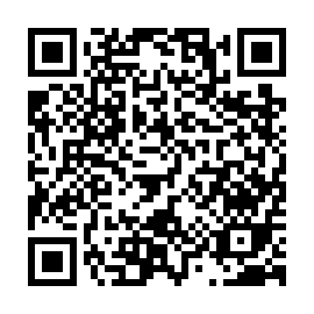 QR code for T917A