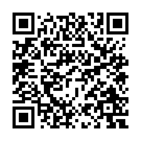 QR code for T917B