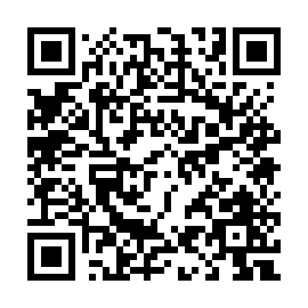 QR code for T917U