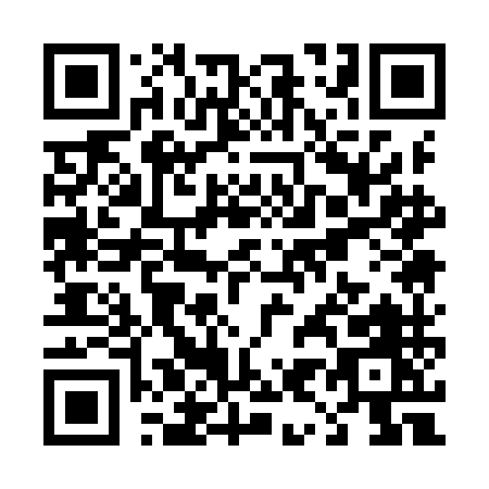 QR code for T919M