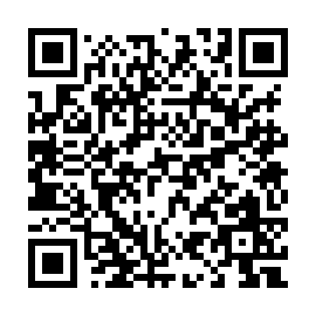 QR code for T938K