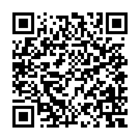 QR code for T950Y