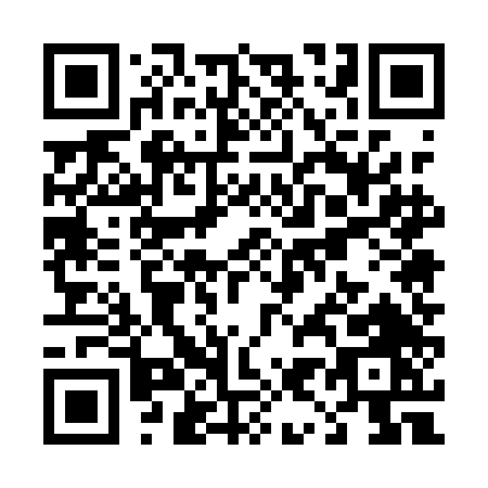 QR code for T951D