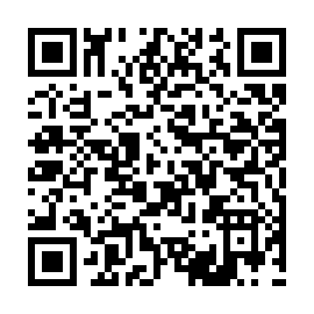 QR code for T953X