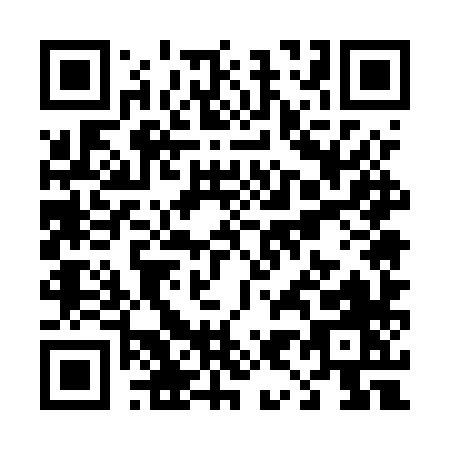QR code for T955X