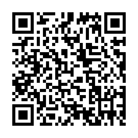 QR code for T959Q