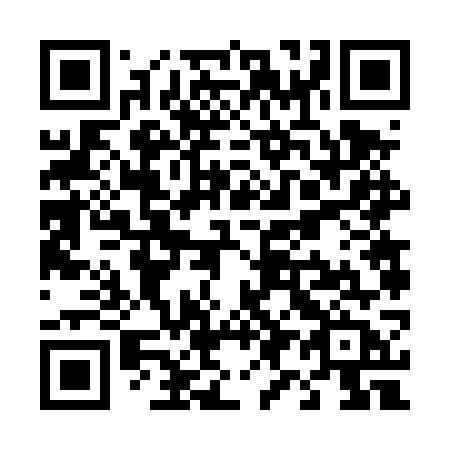 QR code for plate T96 4WB