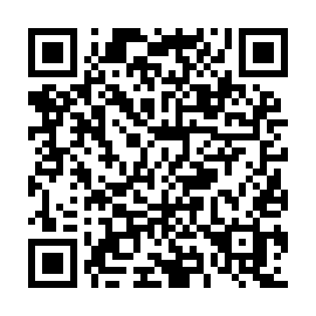 QR code for plate T96 9EH