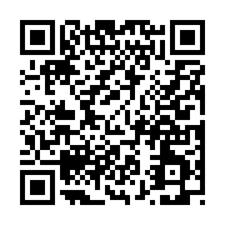 QR code for T971P