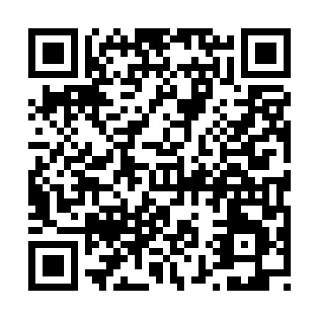 QR code for T990L