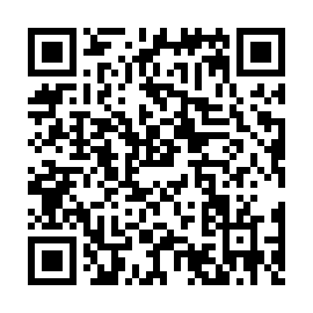 QR code for T990V