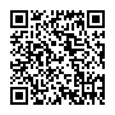 QR code for T991M