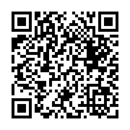 QR code for T993L
