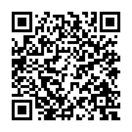 QR code for T994B