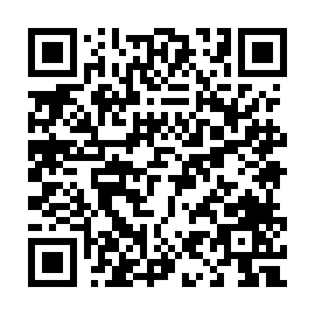 QR code for T995L