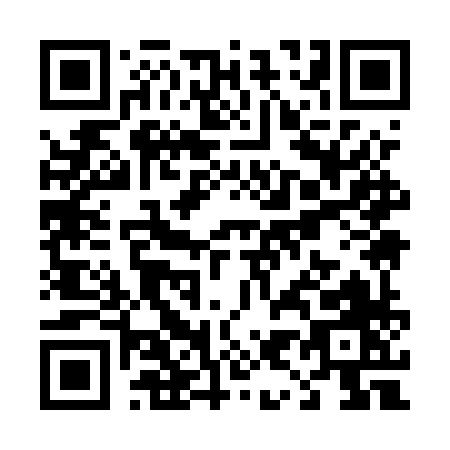 QR code for T995X