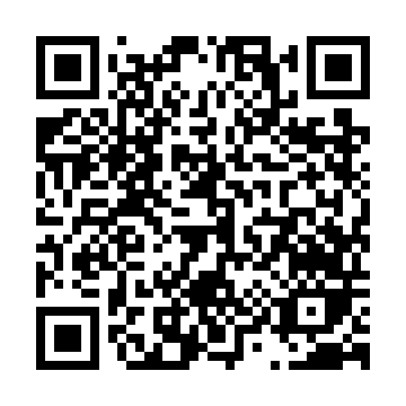 QR code for T997D