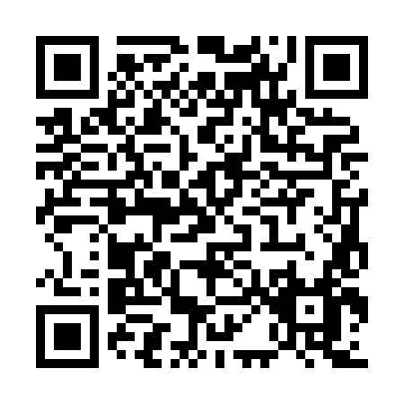 QR code for U038L