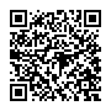 QR code for U065P