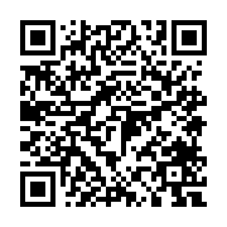 QR code for U095L