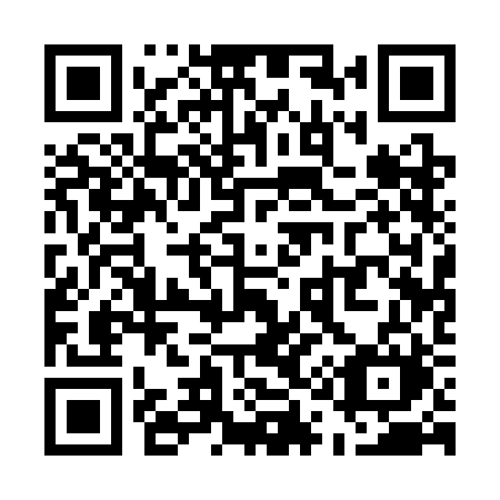 QR code for U113BM