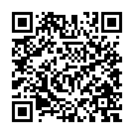 QR code for U141V