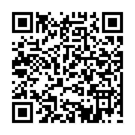 QR code for U161I