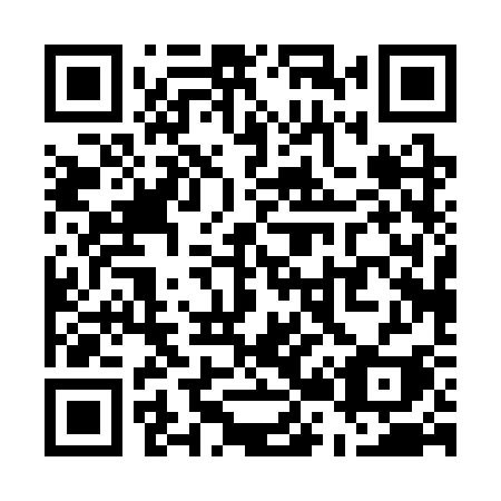 QR code for U203SI