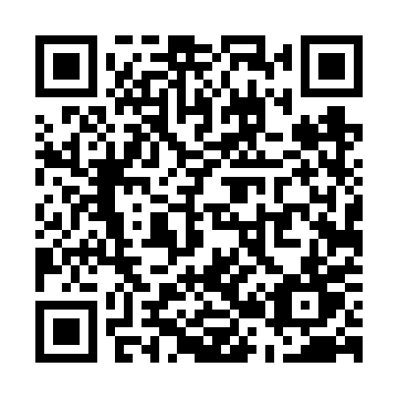 QR code for U246PT
