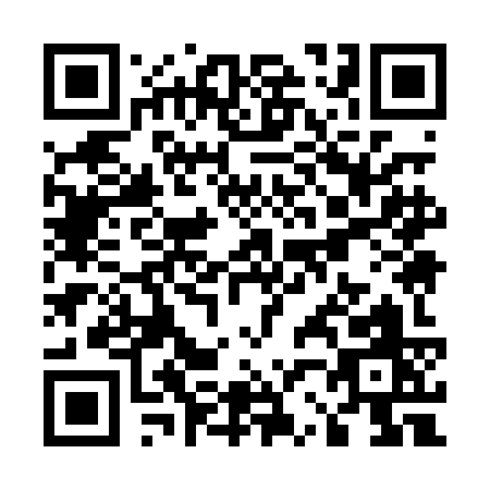 QR code for U290K