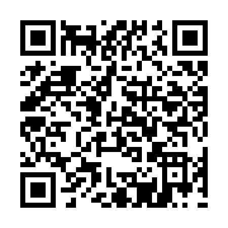 QR code for U293N