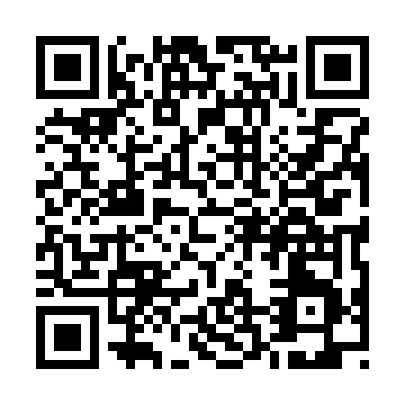 QR code for U293V