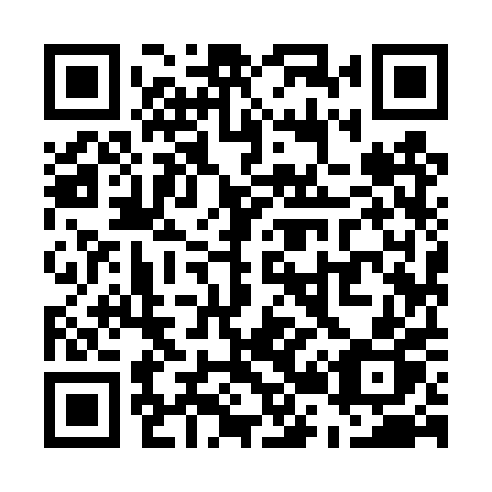 QR code for plate U29 4PP
