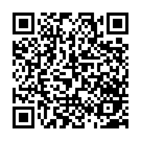 QR code for U295D