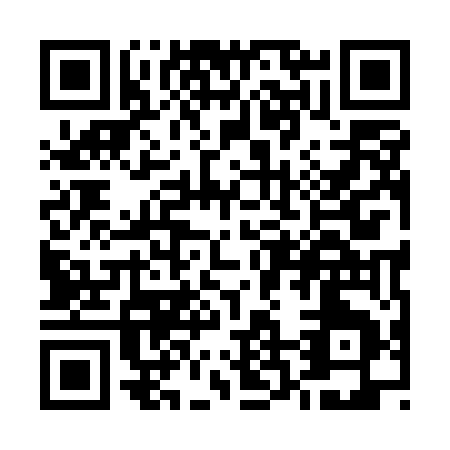 QR code for U295E