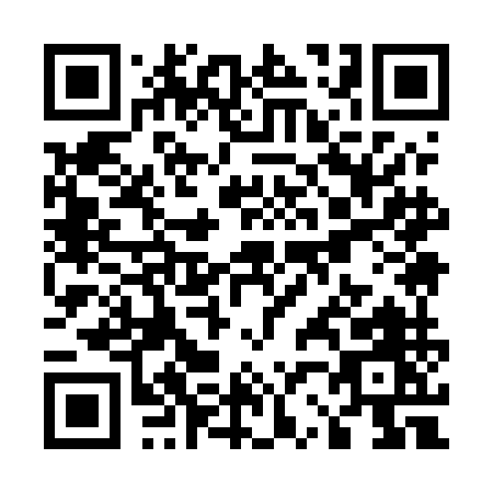 QR code for U295M